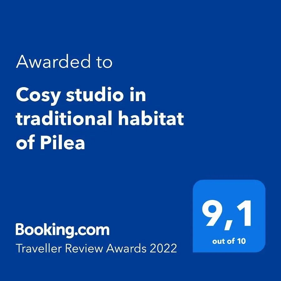 Cosy Studio In Traditional Habitat Of Pilea Apartment Thessaloniki